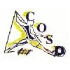 Club Olympique de Saint-Dizier